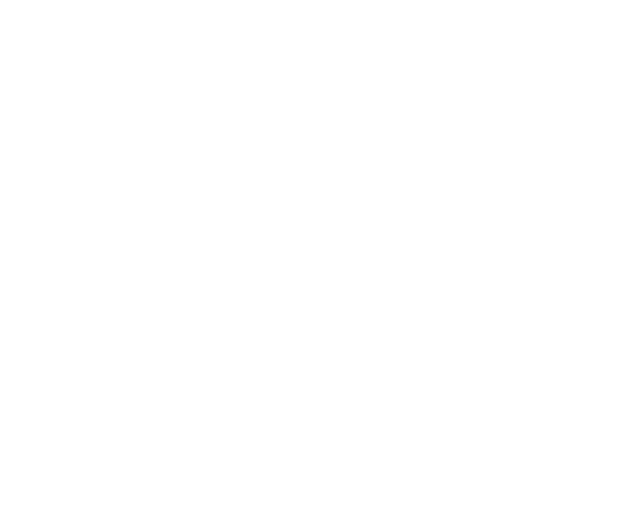 Plumes Capital Logo